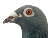 Armänia