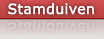 Stamduiven