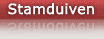 Stamduiven